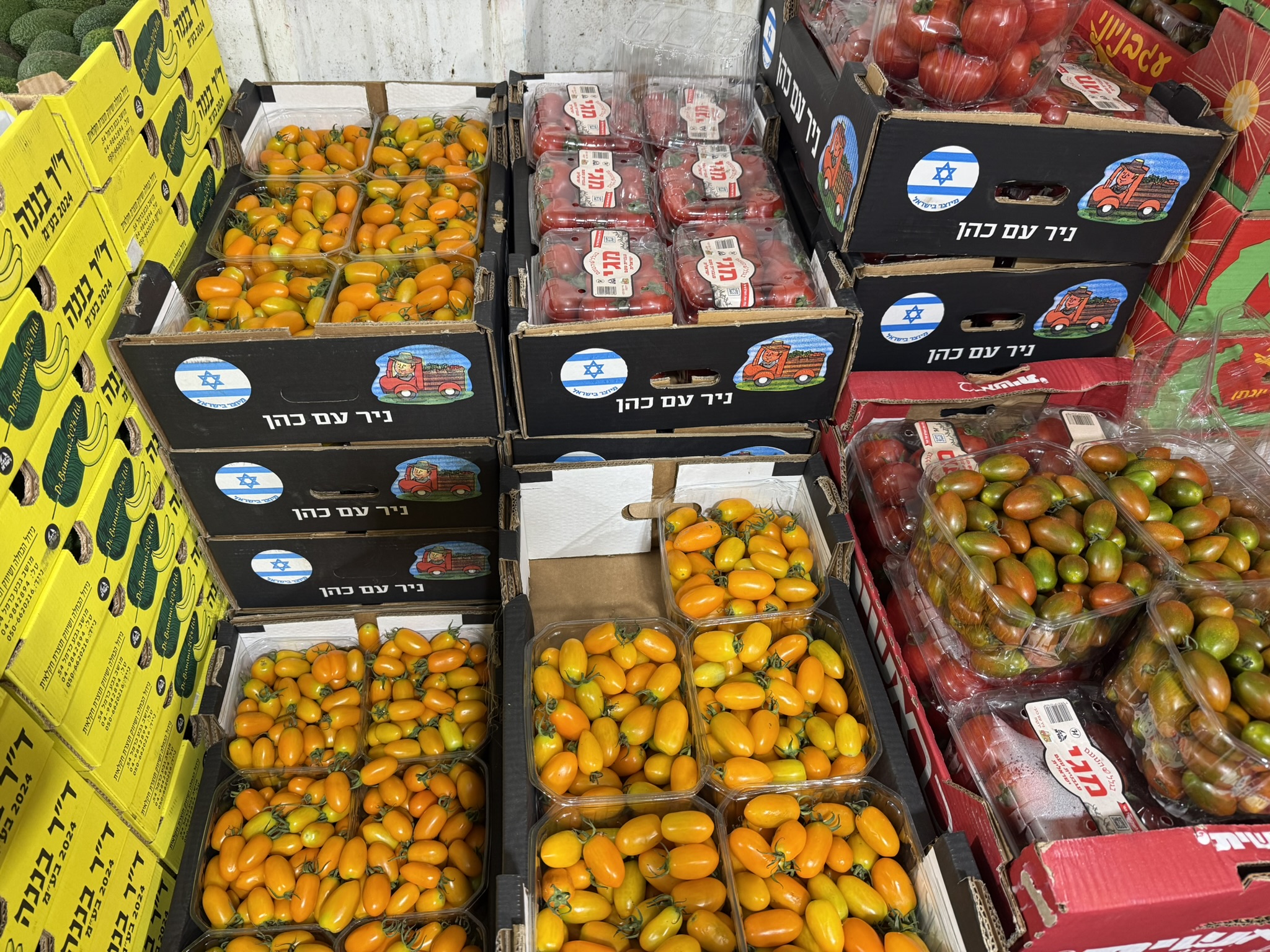ארגזים מלאים במארזי עגבניות שרי
